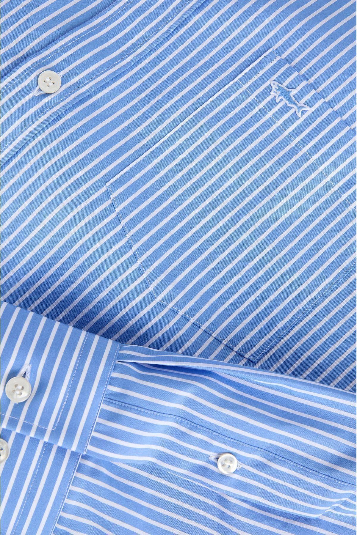 cotton-shirt-e53-a9.jpg