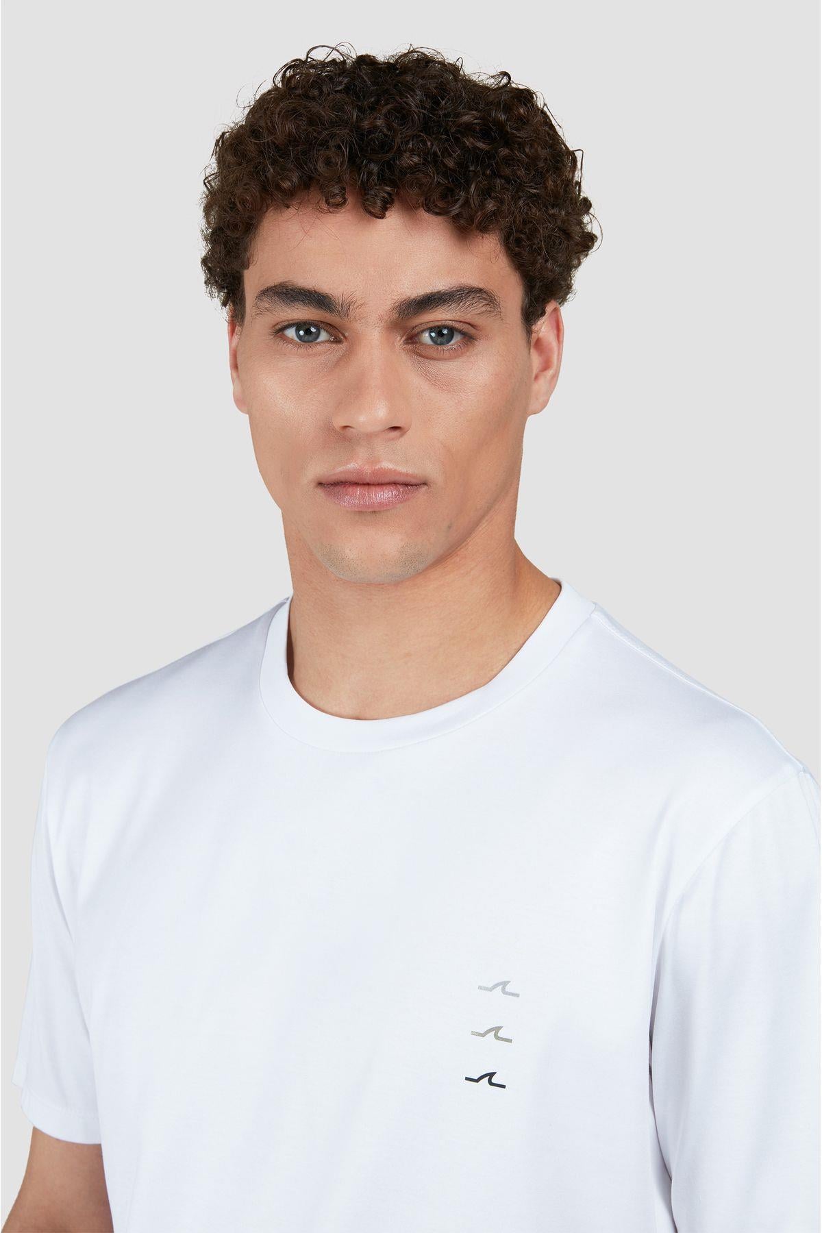 cotton-t-shirt--9d9f2.jpg