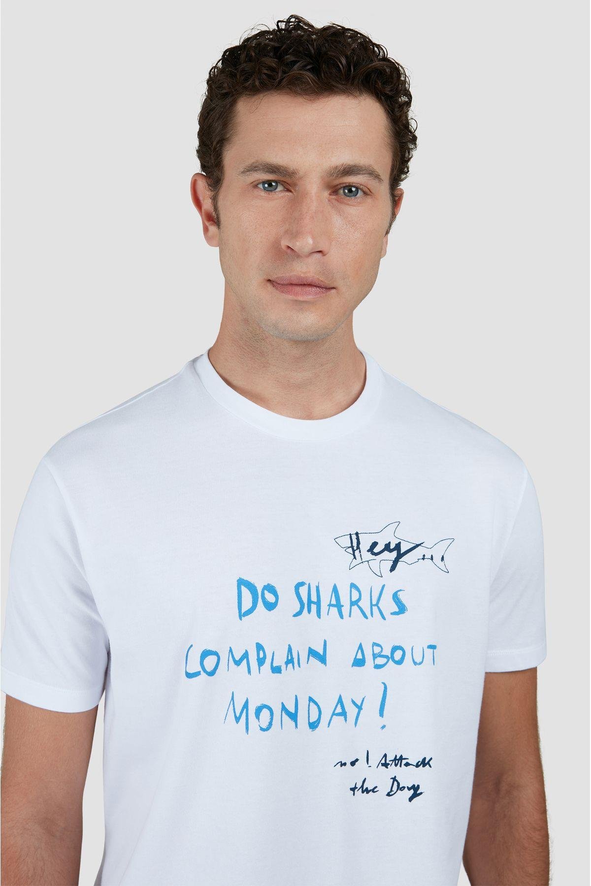 cotton-t-shirt--df6f8.jpg