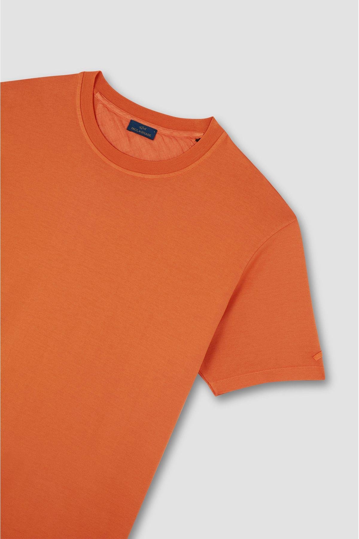 cotton-t-shirt-135bdb.jpg