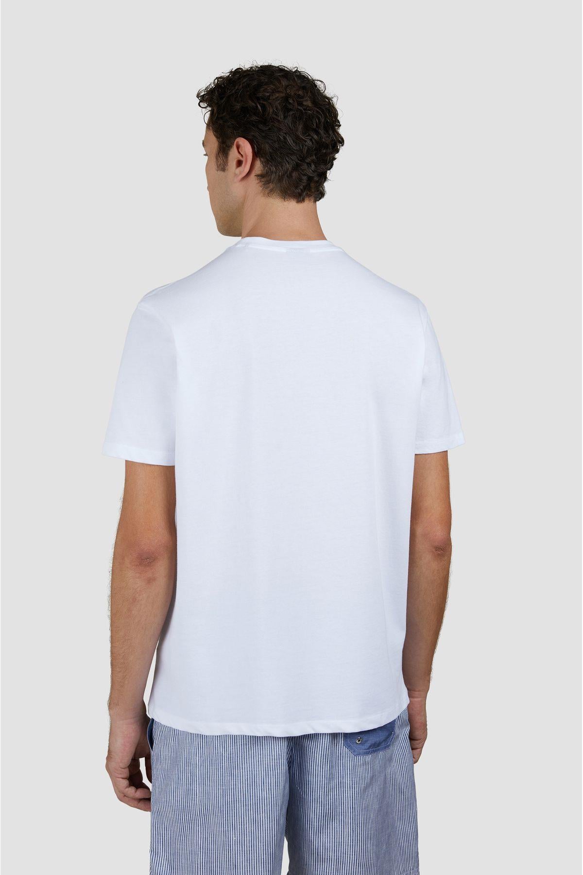 cotton-t-shirt-1c24a9.jpg