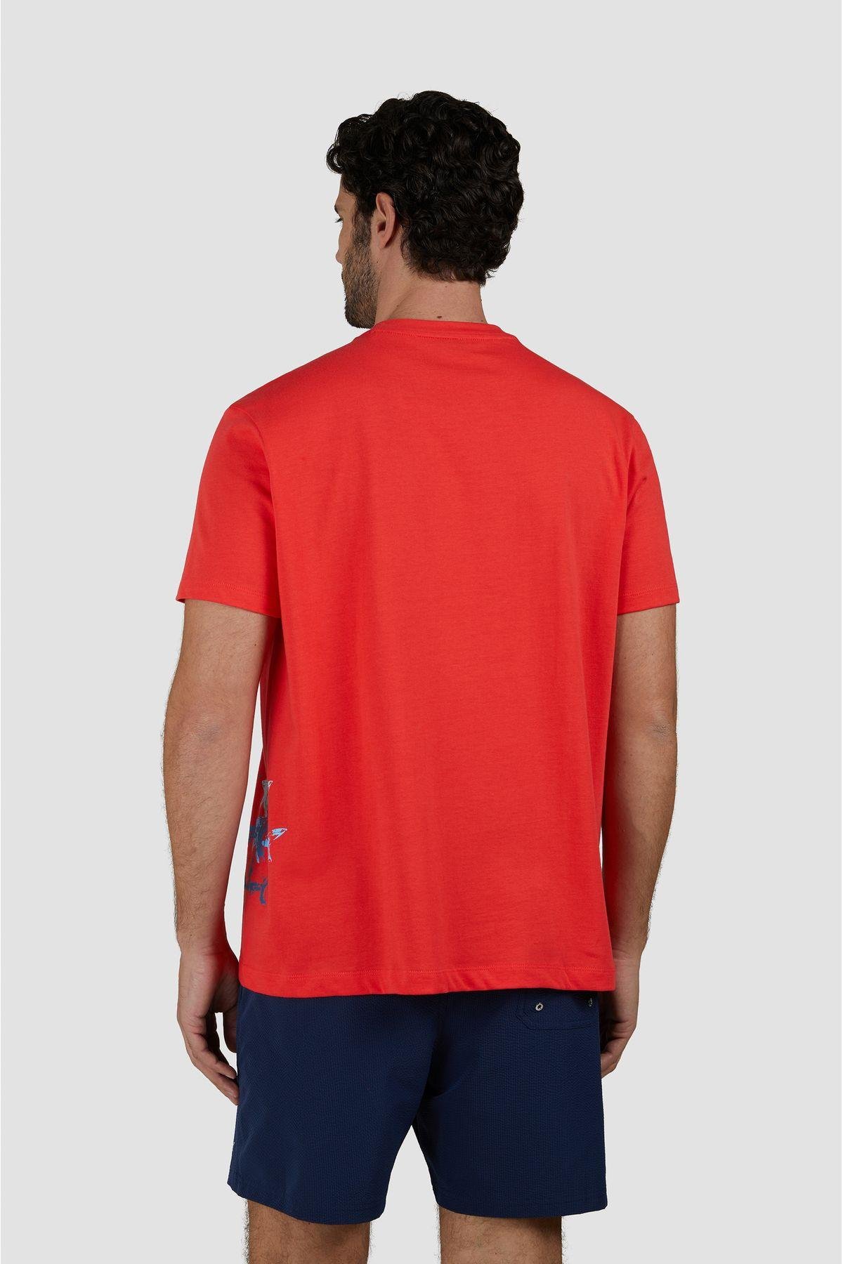 cotton-t-shirt-31356e.jpg