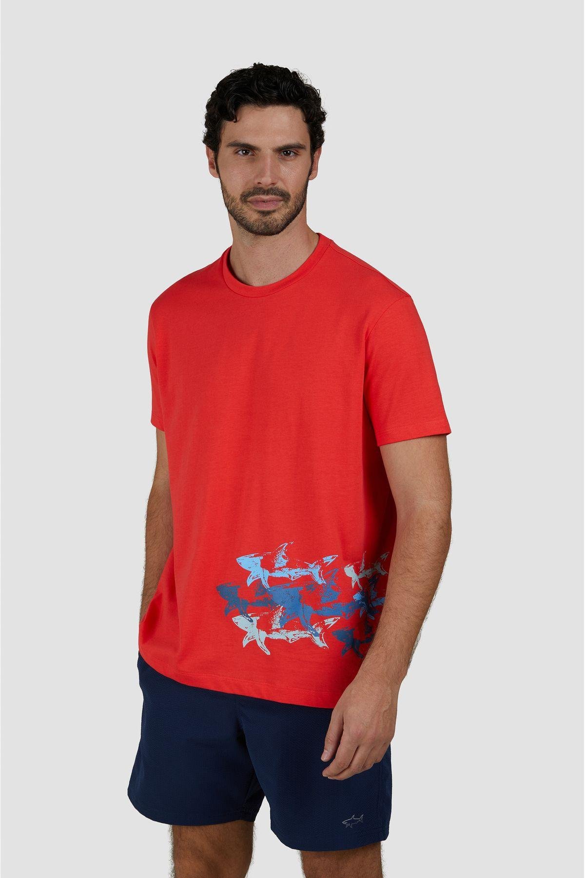 cotton-t-shirt-451a-a.jpg