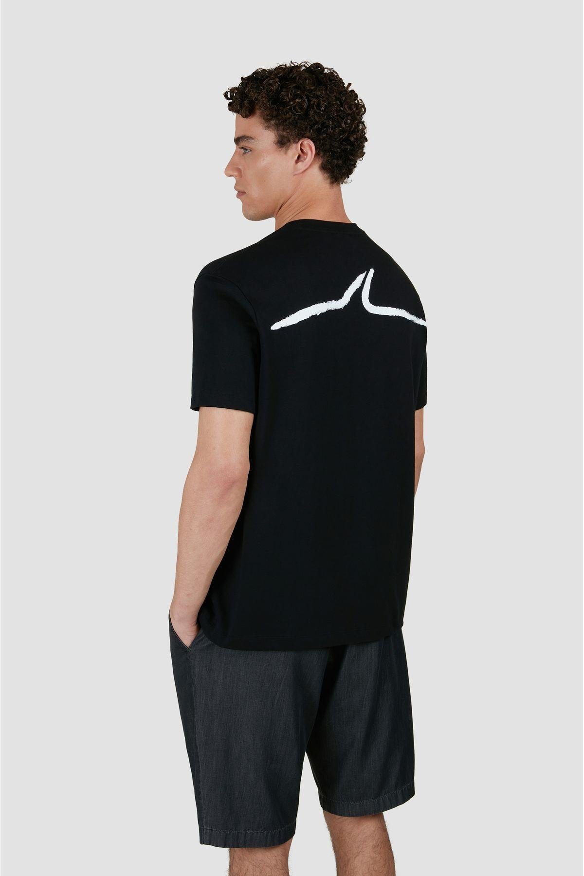 cotton-t-shirt-4e4f7b.jpg