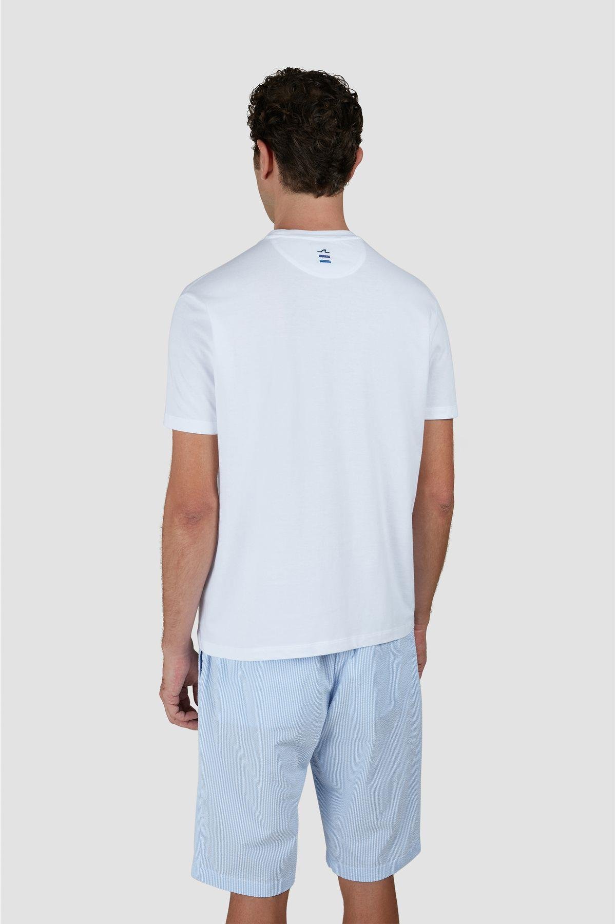 cotton-t-shirt-8-a4f6.jpg