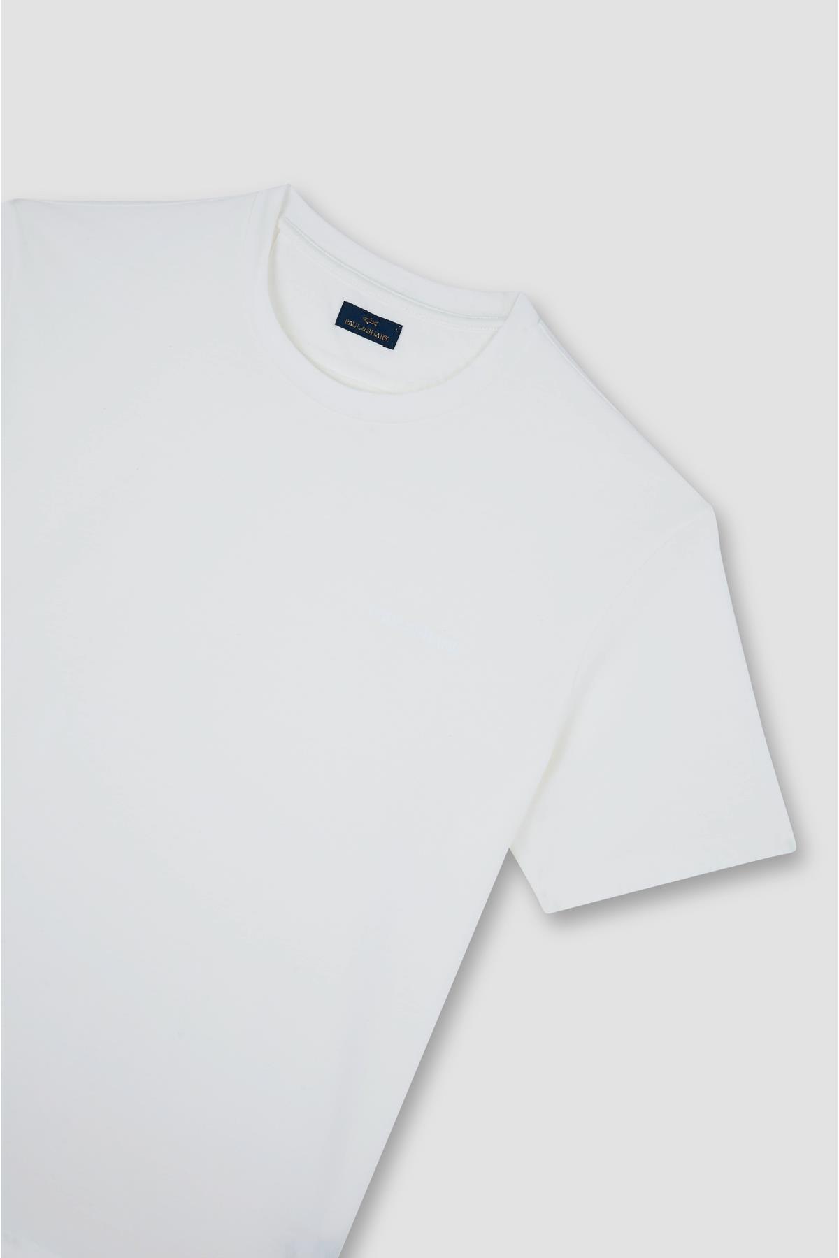 cotton-t-shirtust-giyimpaulshark-4e46ee.jpg