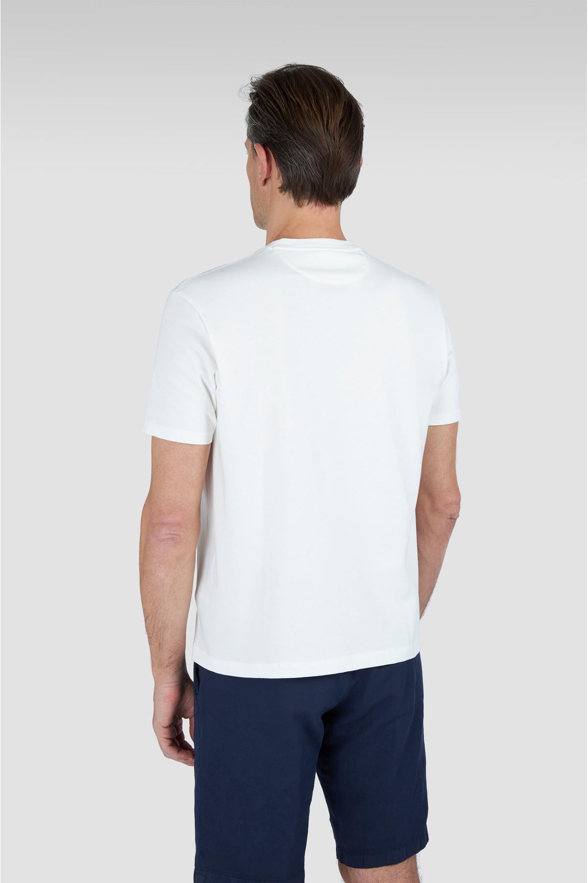 cotton-t-shirtust-giyimpaulshark-c35-9e.jpg
