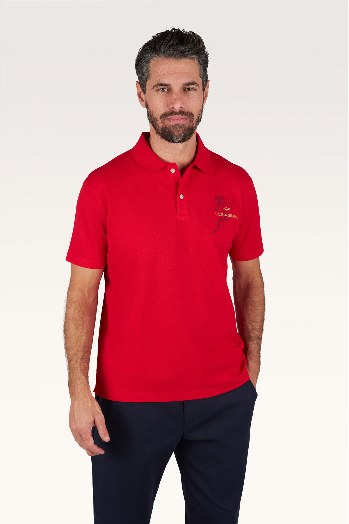 mens-knitted-cotton-poloshirtust-giyim-68d9ec.jpg