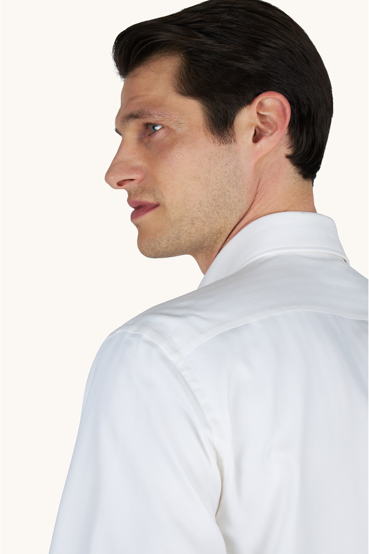 shirts-cowsust-giyimpaulshark--dbba-.jpg