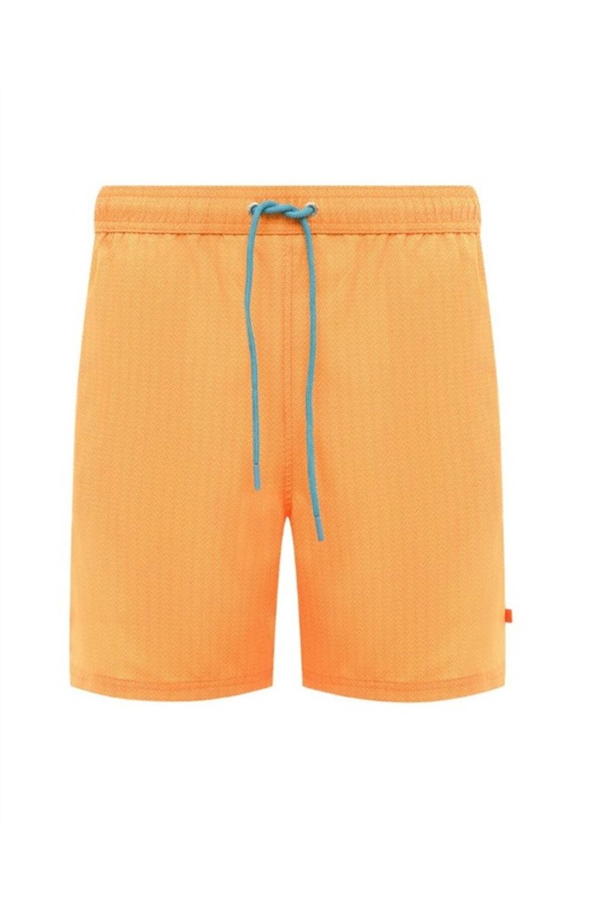 swimsuitplaj-giyimpaulshark-de2ef0.jpg