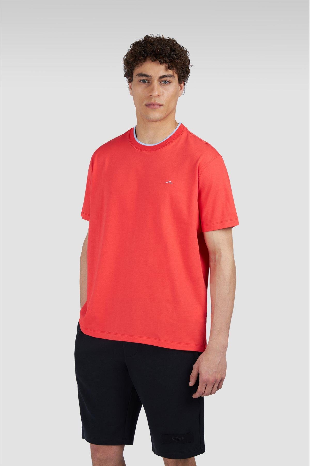 t-shirt-d78077.jpg