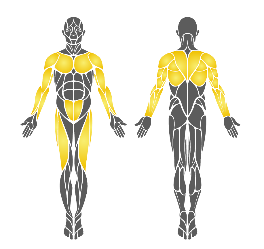 Dış Mekan Spor Aleti, Vücut Esnetme Aleti