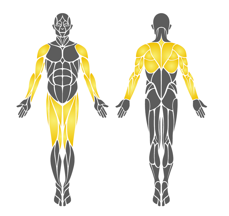 Park Spor Aleti, İkili Vücut Geliştirme Aleti