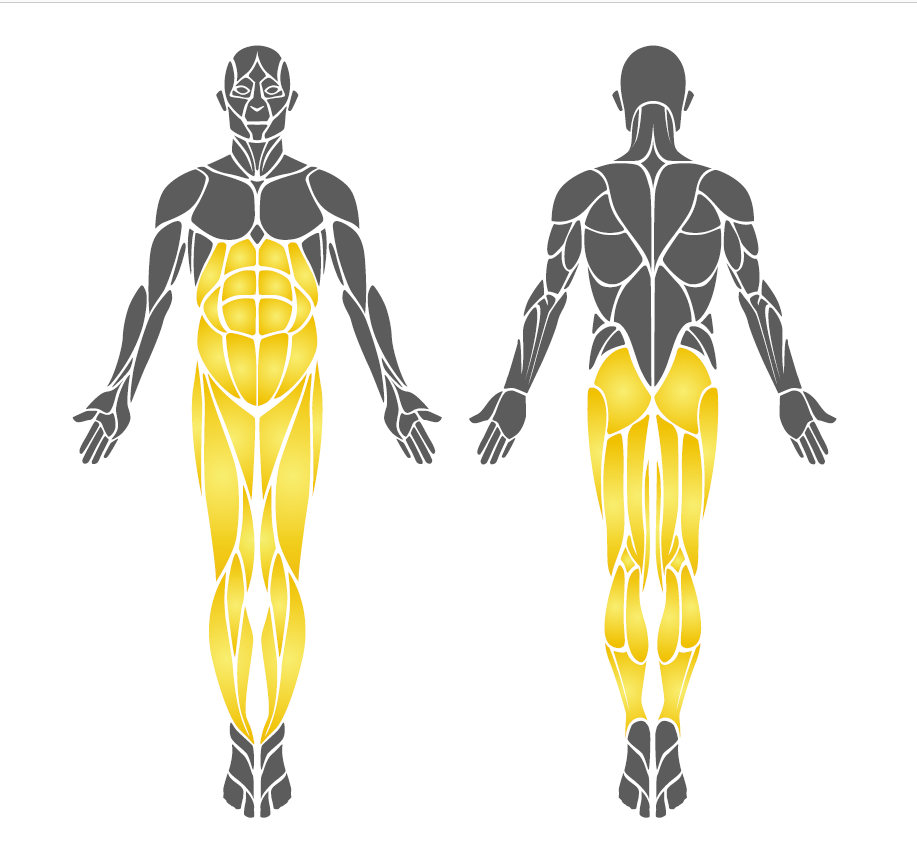 Park Spor Aleti, Panolu Spor Aletleri, Bisiklet ve Vücut Esnetme Aleti