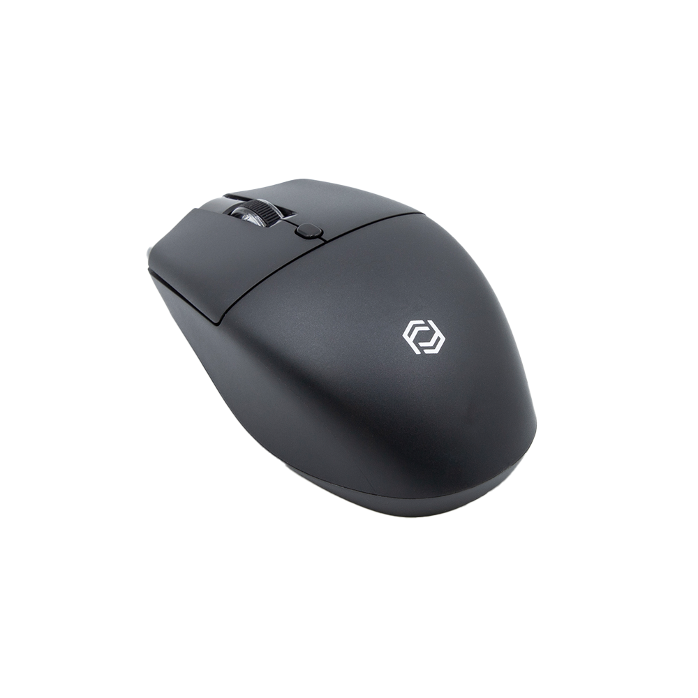 FRISBY FM-284WM Kablosuz siyah Mouse