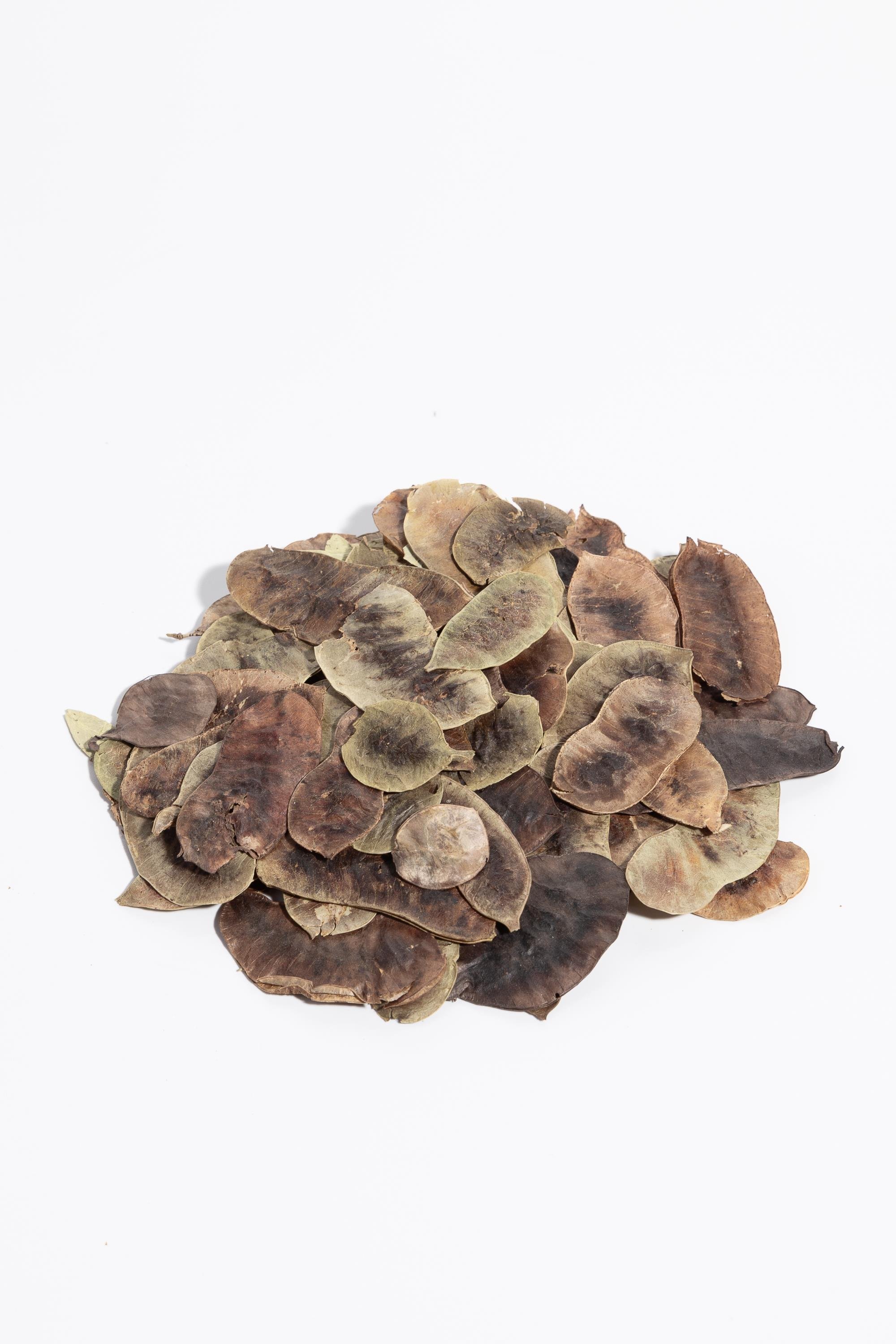 Açlık Otu Acık Kg.