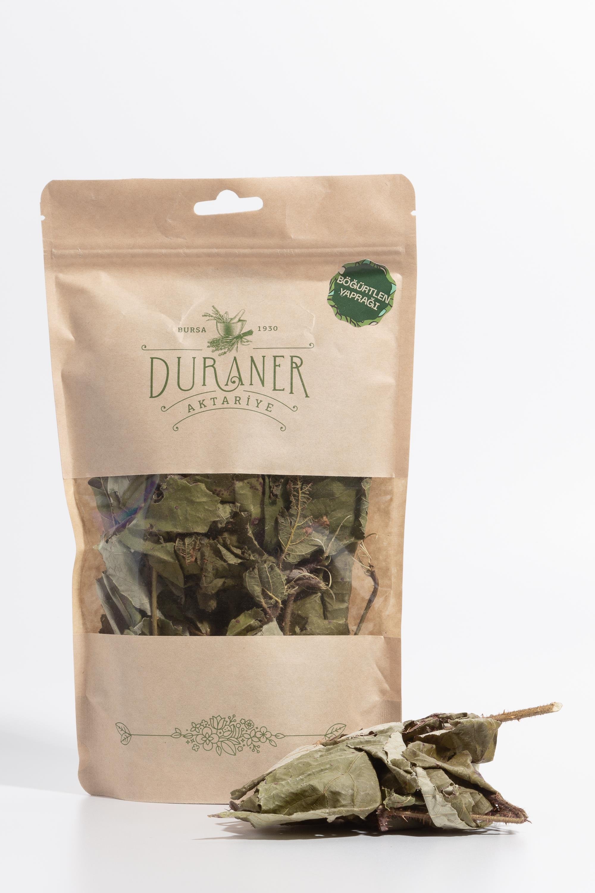 BÖĞÜRTLEN YAPRAĞI