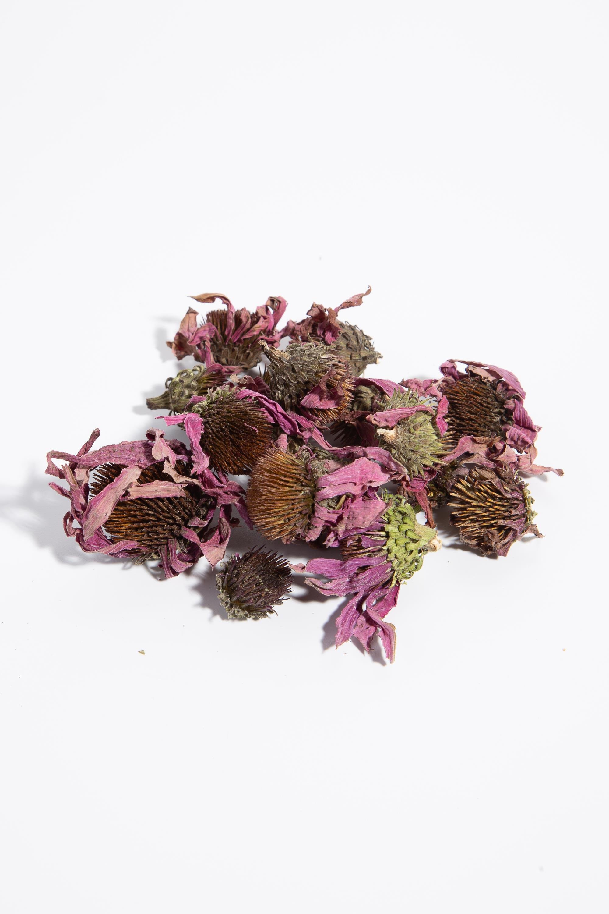 EKİNEZYA ÇAYI OTU KG.