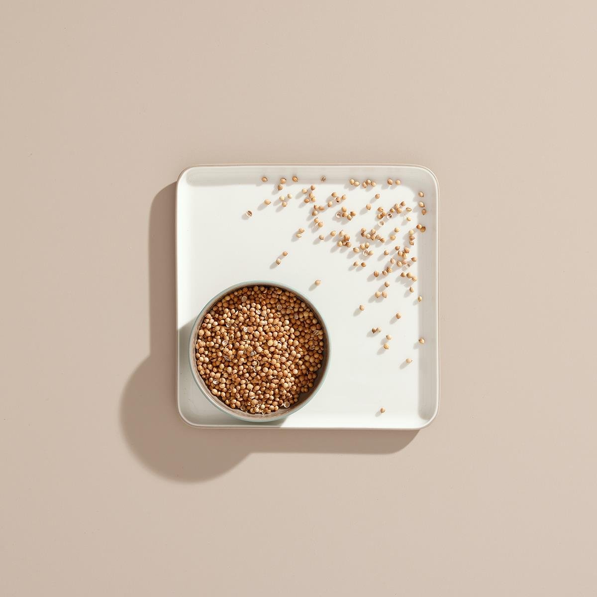 KİŞNİŞ TANE AÇIK KG.