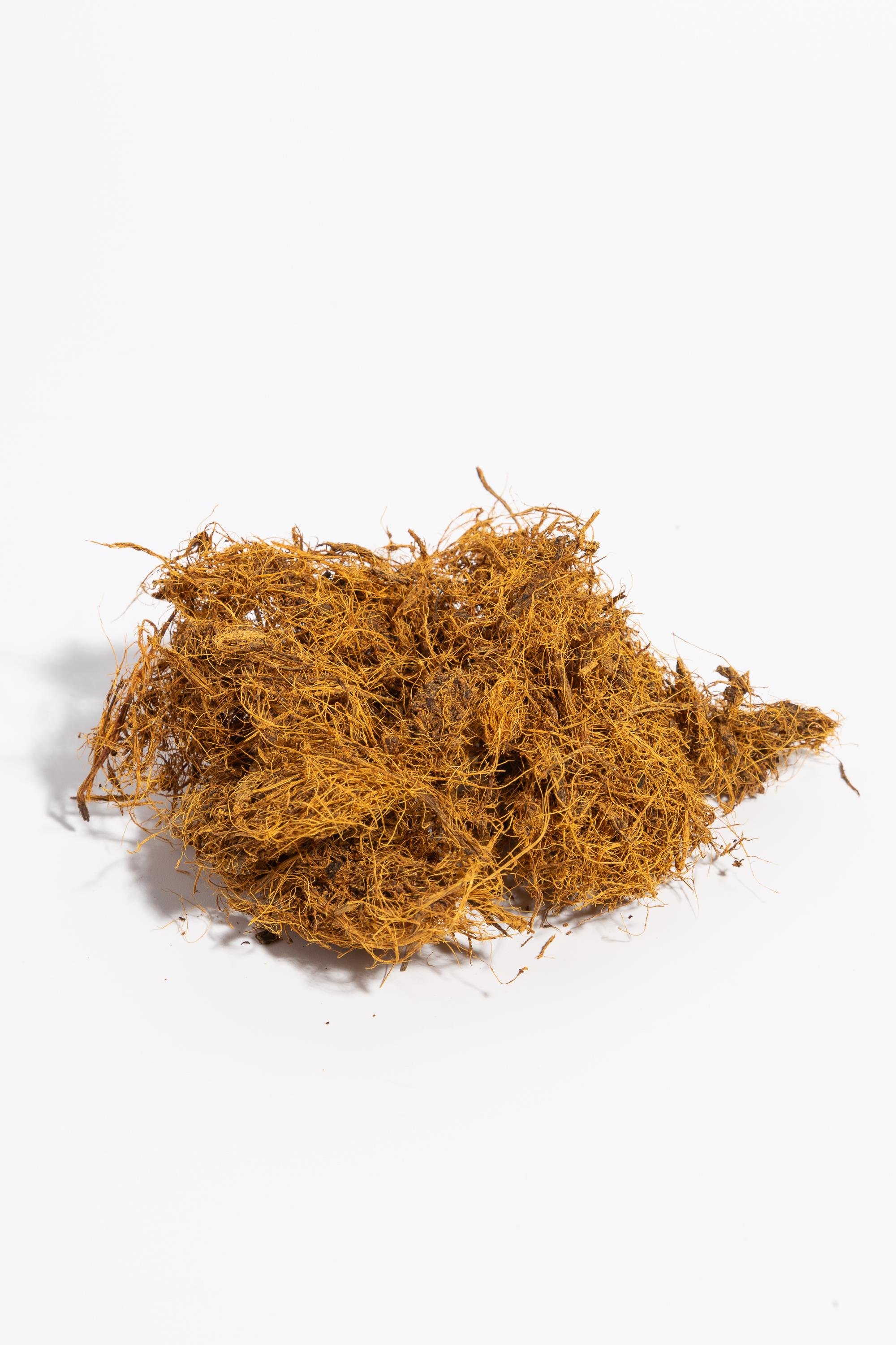 MEYAN KÖKÜ LİFLİ