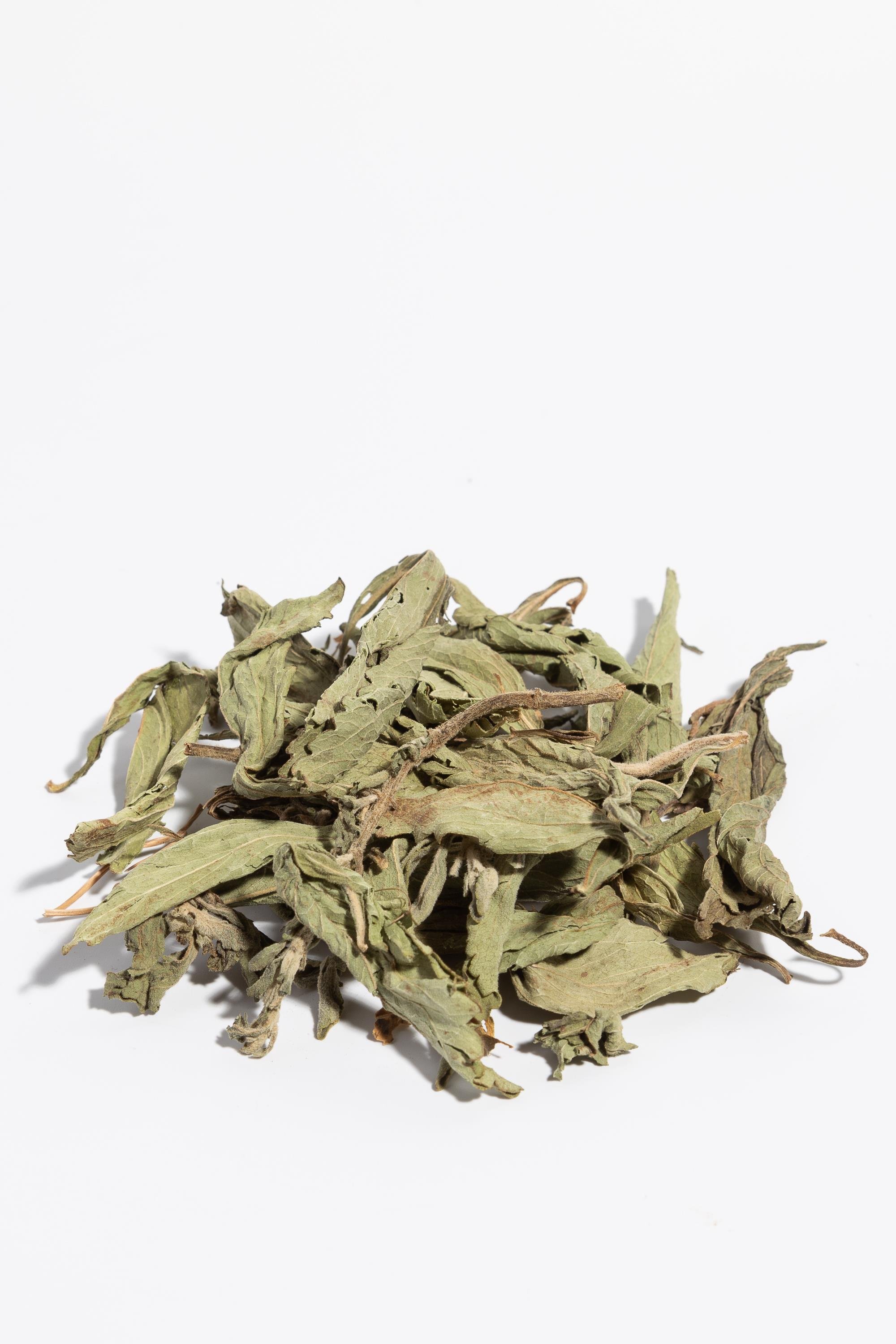 STEVİA (ŞEKER OTU)