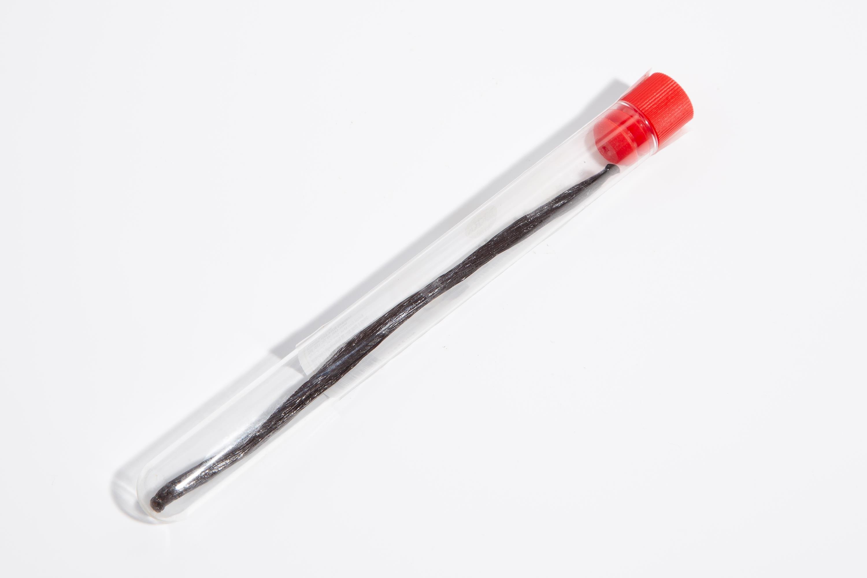 VANİLYA ÇUBUK TANE