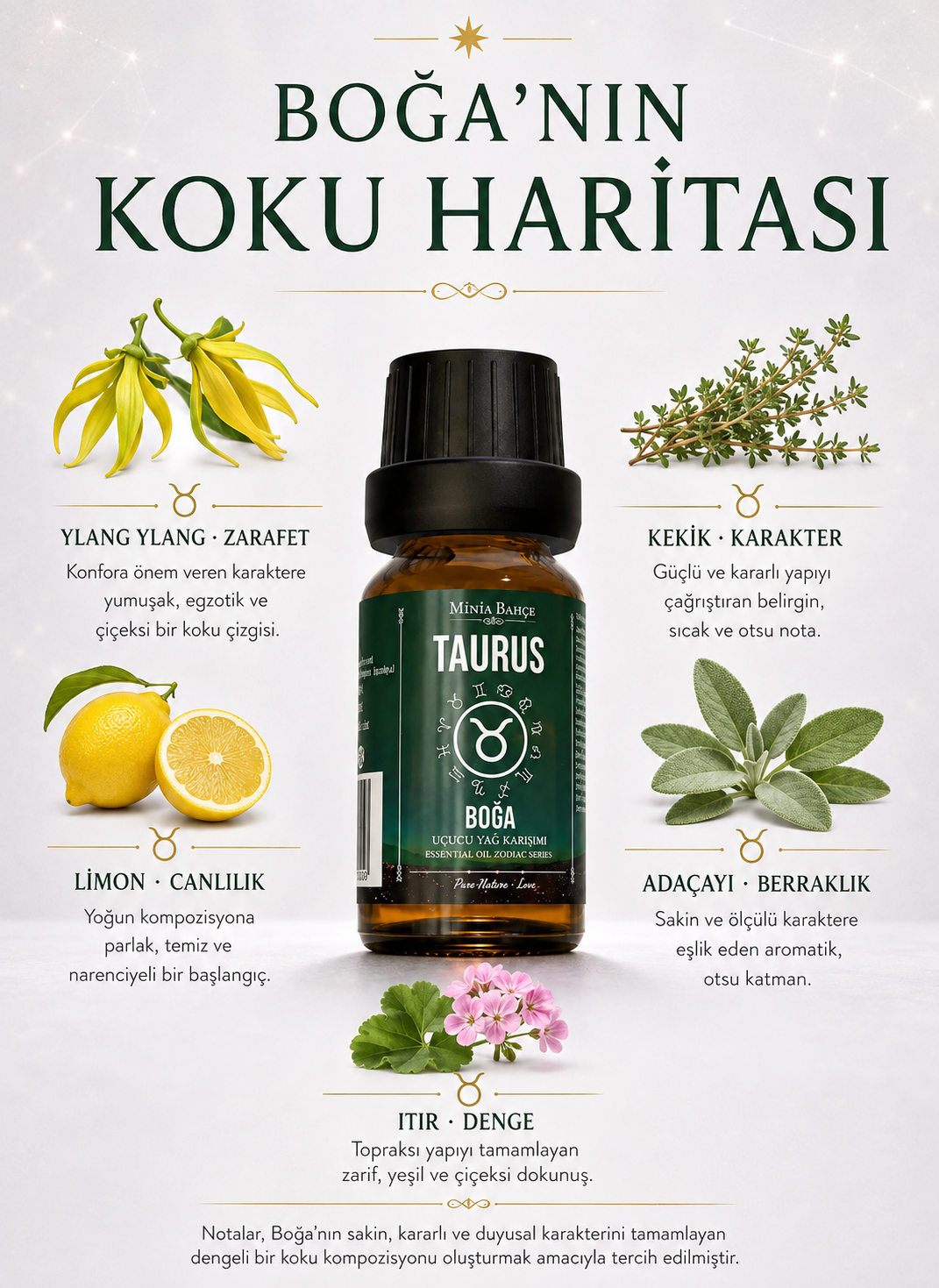 Aslan Burcu - Cancer, Uçucu Yağ Karışımı, 10ml