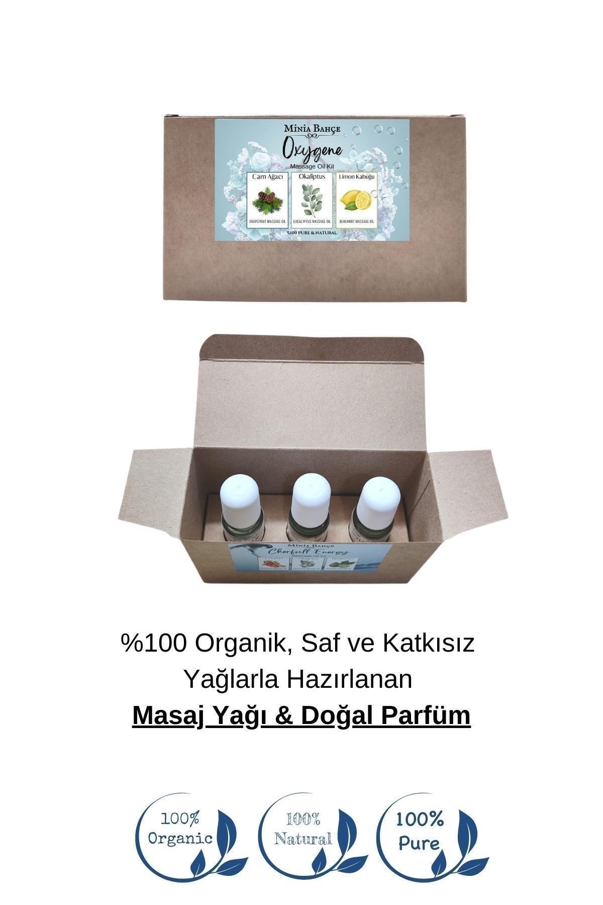 Doğal Roll on, Oksijen Seti, Çam ağacı, Okaliptus ve Lİmon Kabuğu Uçucu Yağı, 10ml x 3