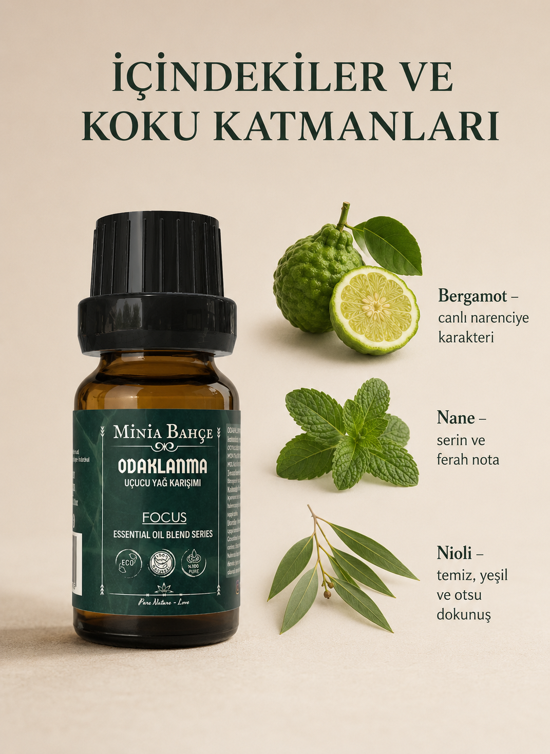 Odaklanma (Focus) Uçucu Yağ Karışımı - Özel Seri 10 ml