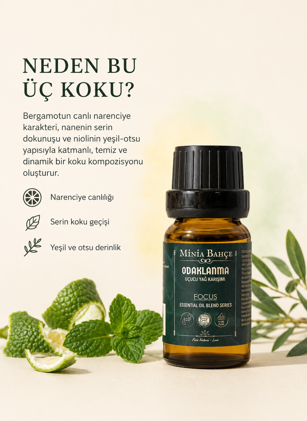 Odaklanma (Focus) Uçucu Yağ Karışımı - Özel Seri 10 ml