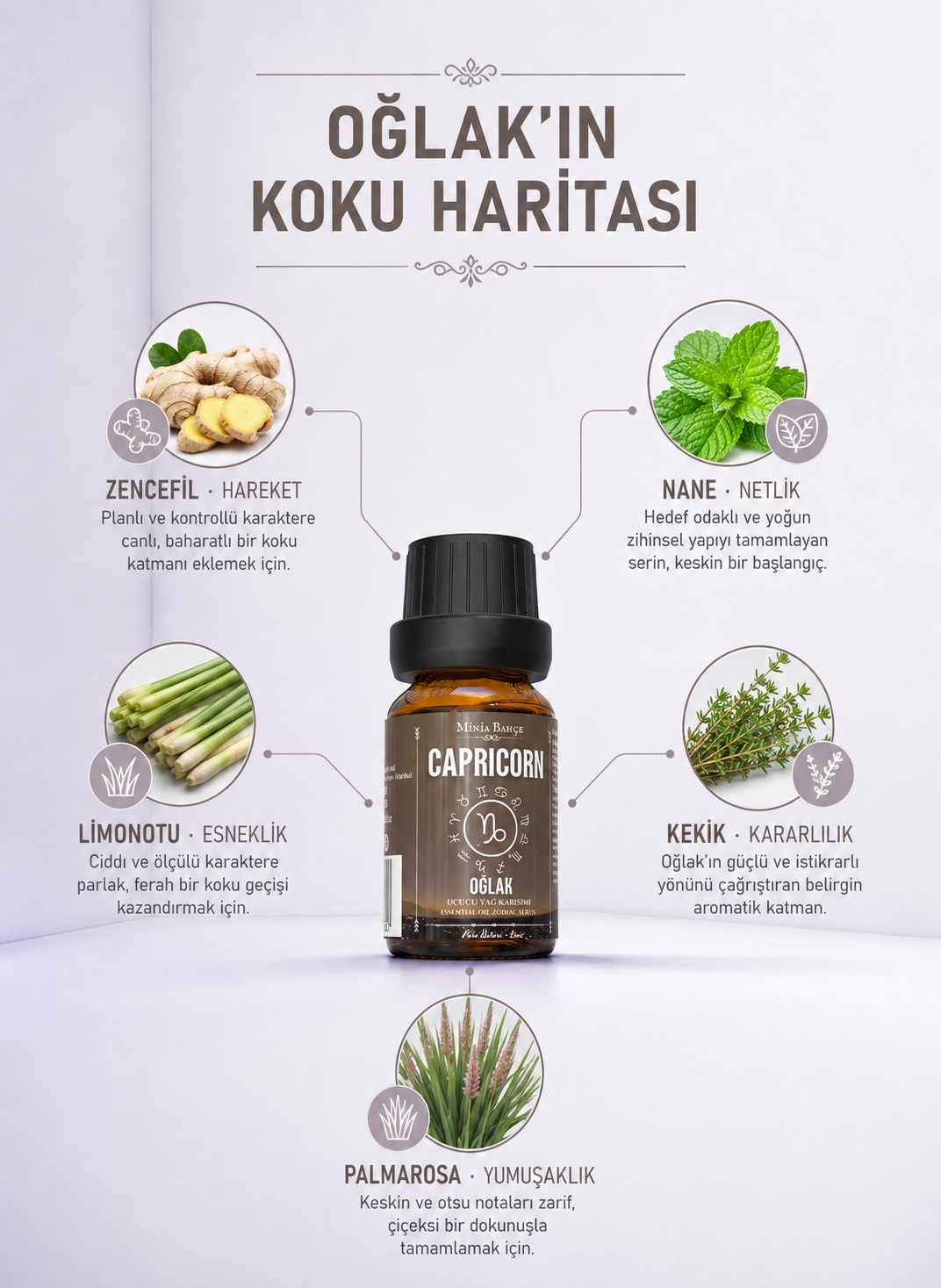 Oğlak Burcu - Capricorn, Uçucu Yağ Karışımı, 10ml