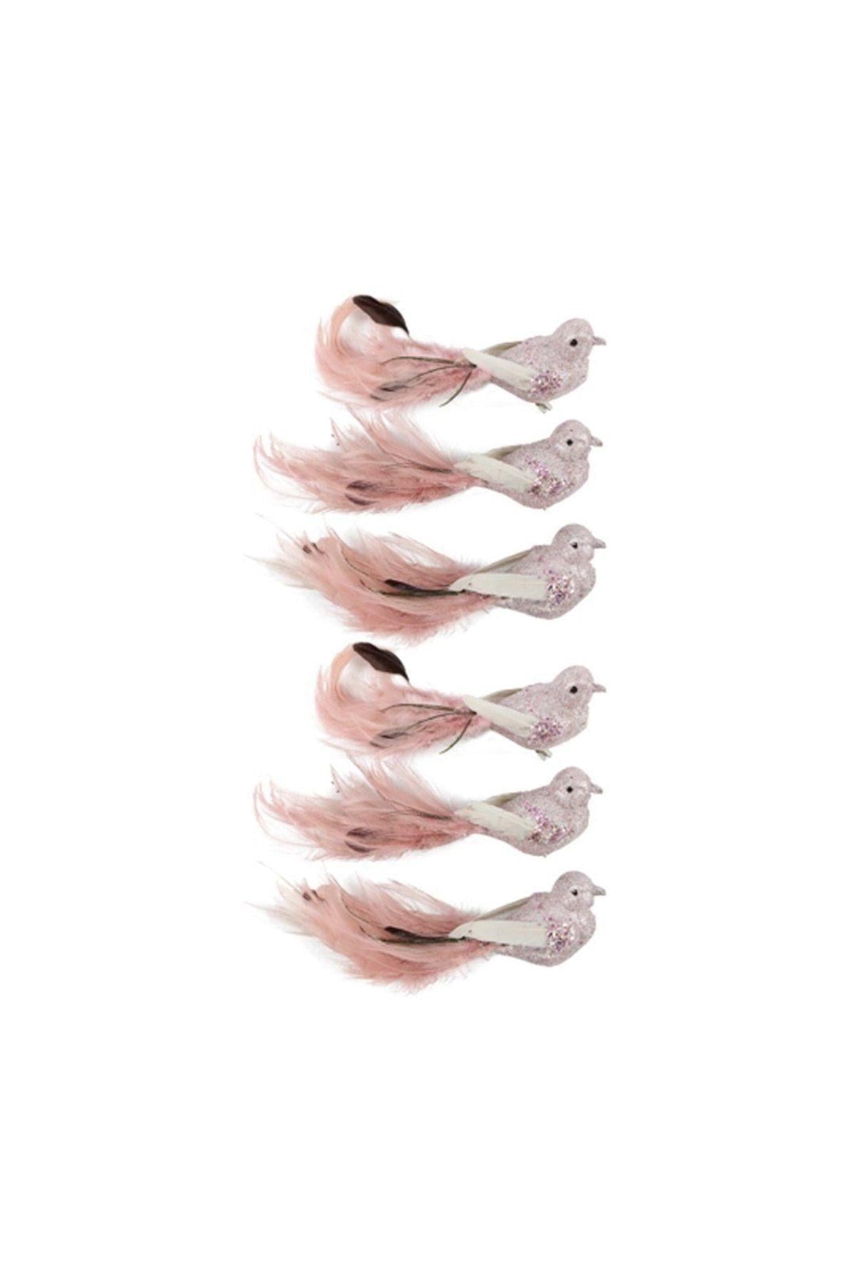 FEDERSTOLZ PEMBE KUŞLAR (6 parça)