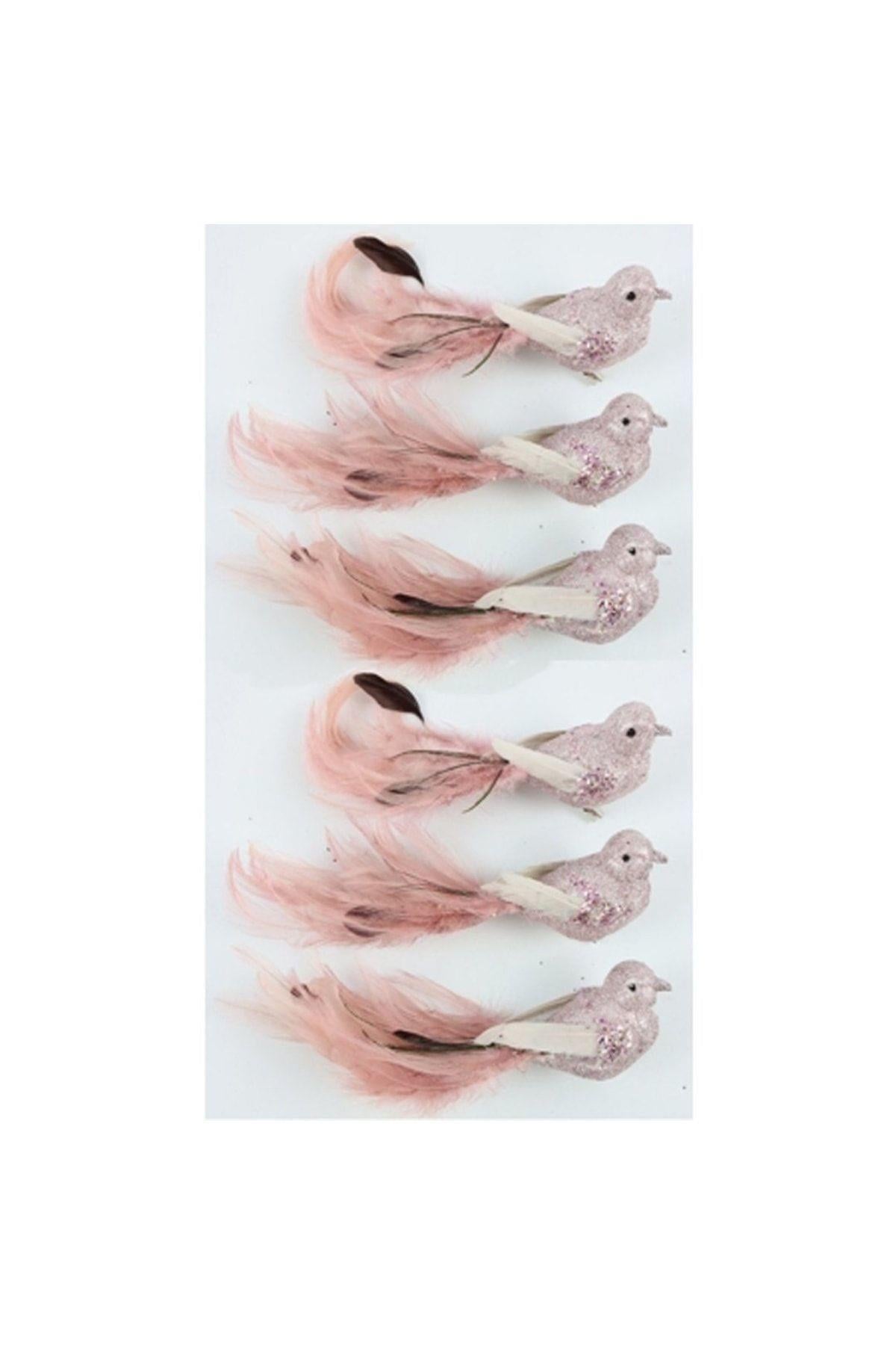 FEDERSTOLZ PEMBE KUŞLAR (6 parça)