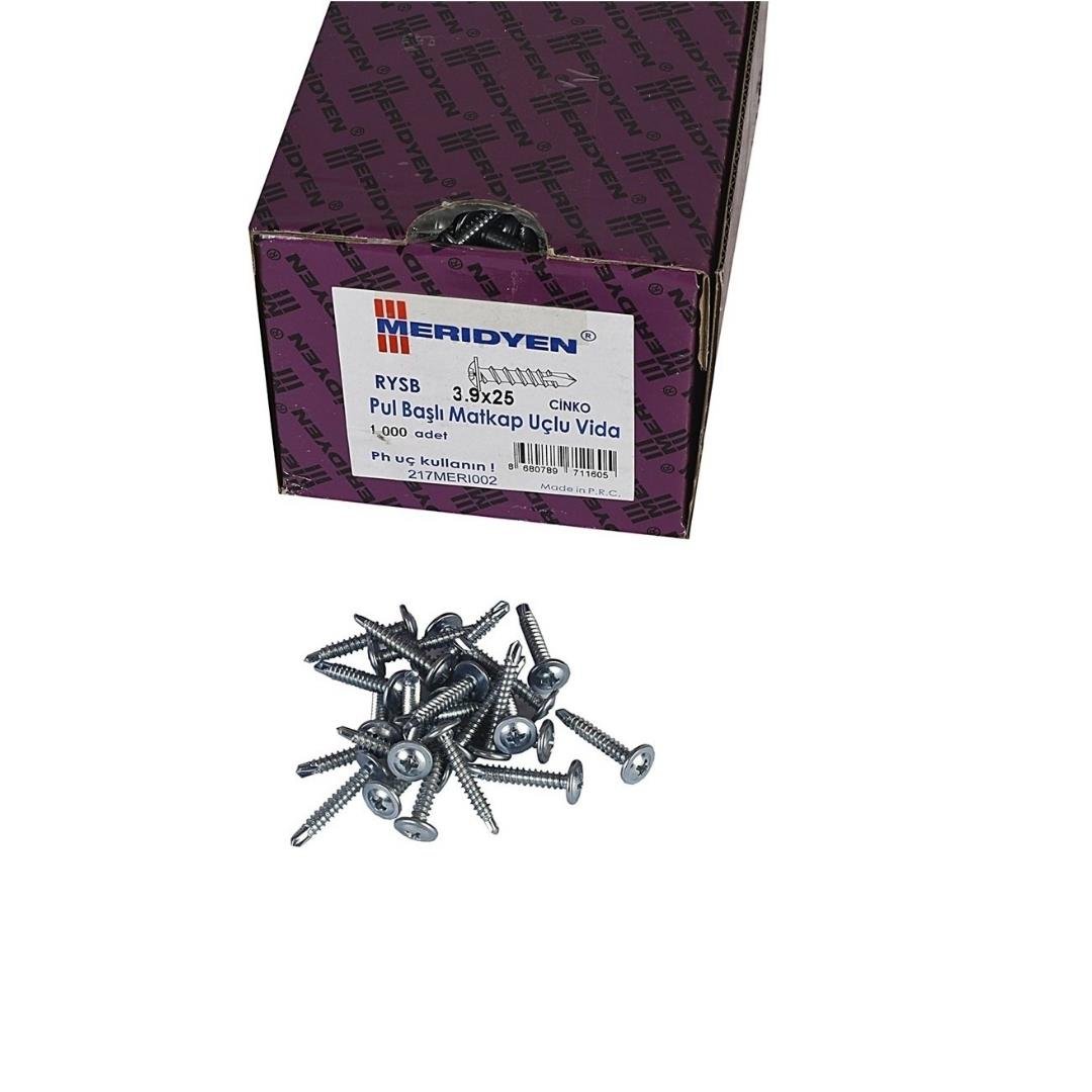 Matkap Uçlu Vida 3,9x25 mm 1000'li Paket