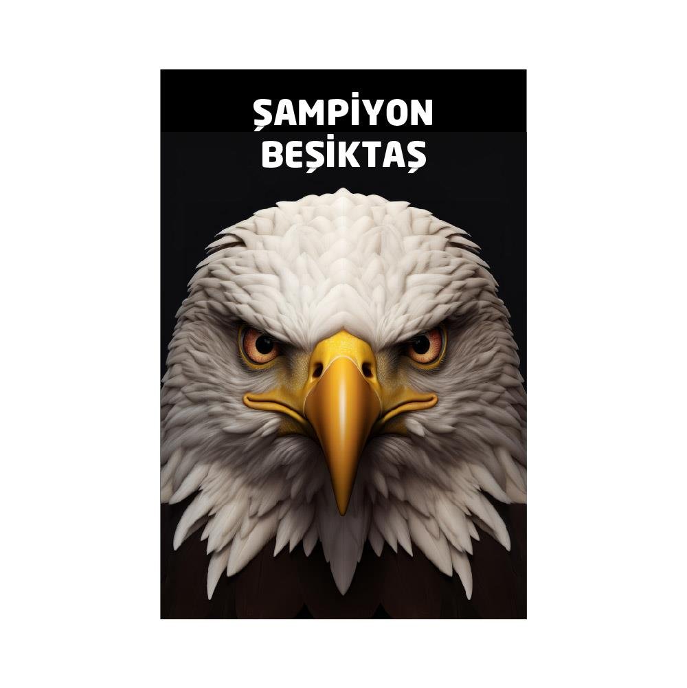 Beşiktaş Bayrağı