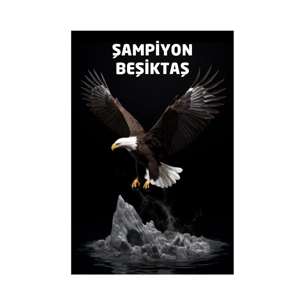 Beşiktaş Bayrağı