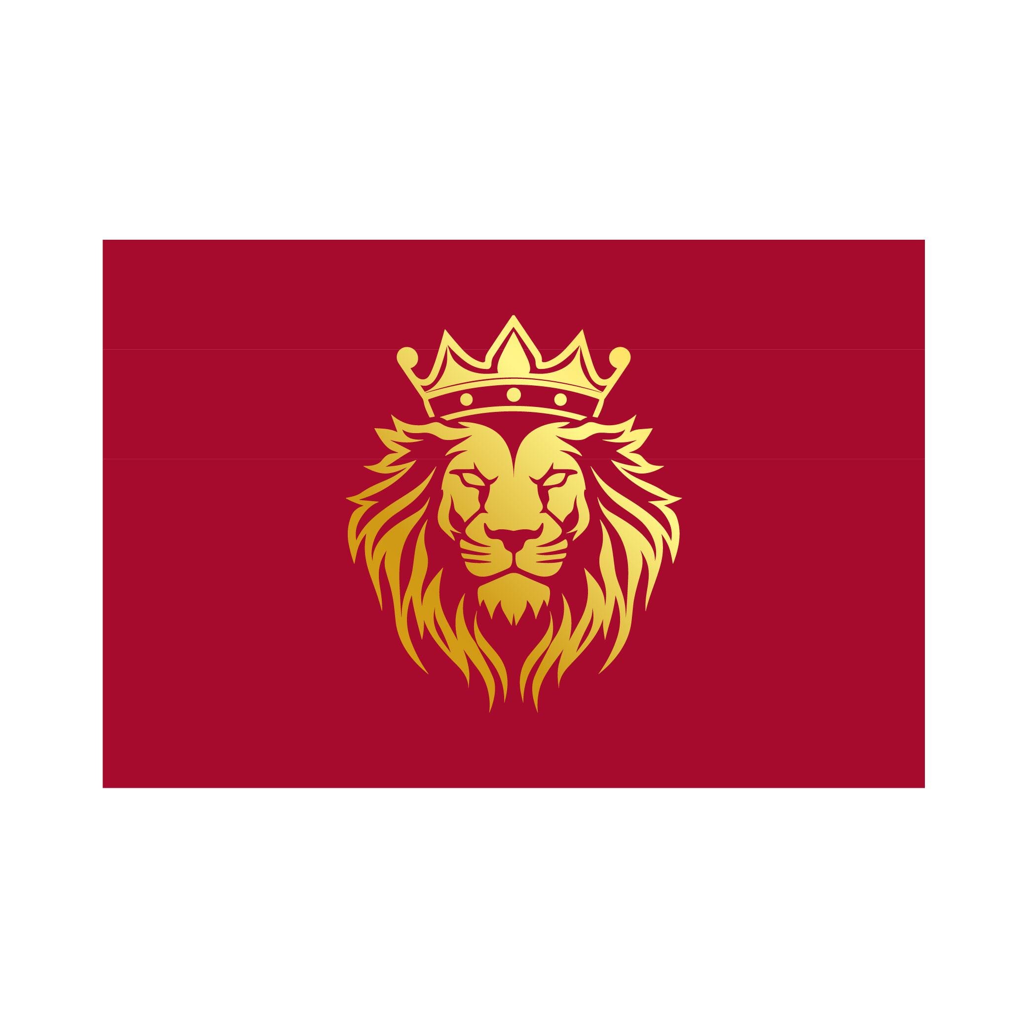 Galatasaray Bayrağı