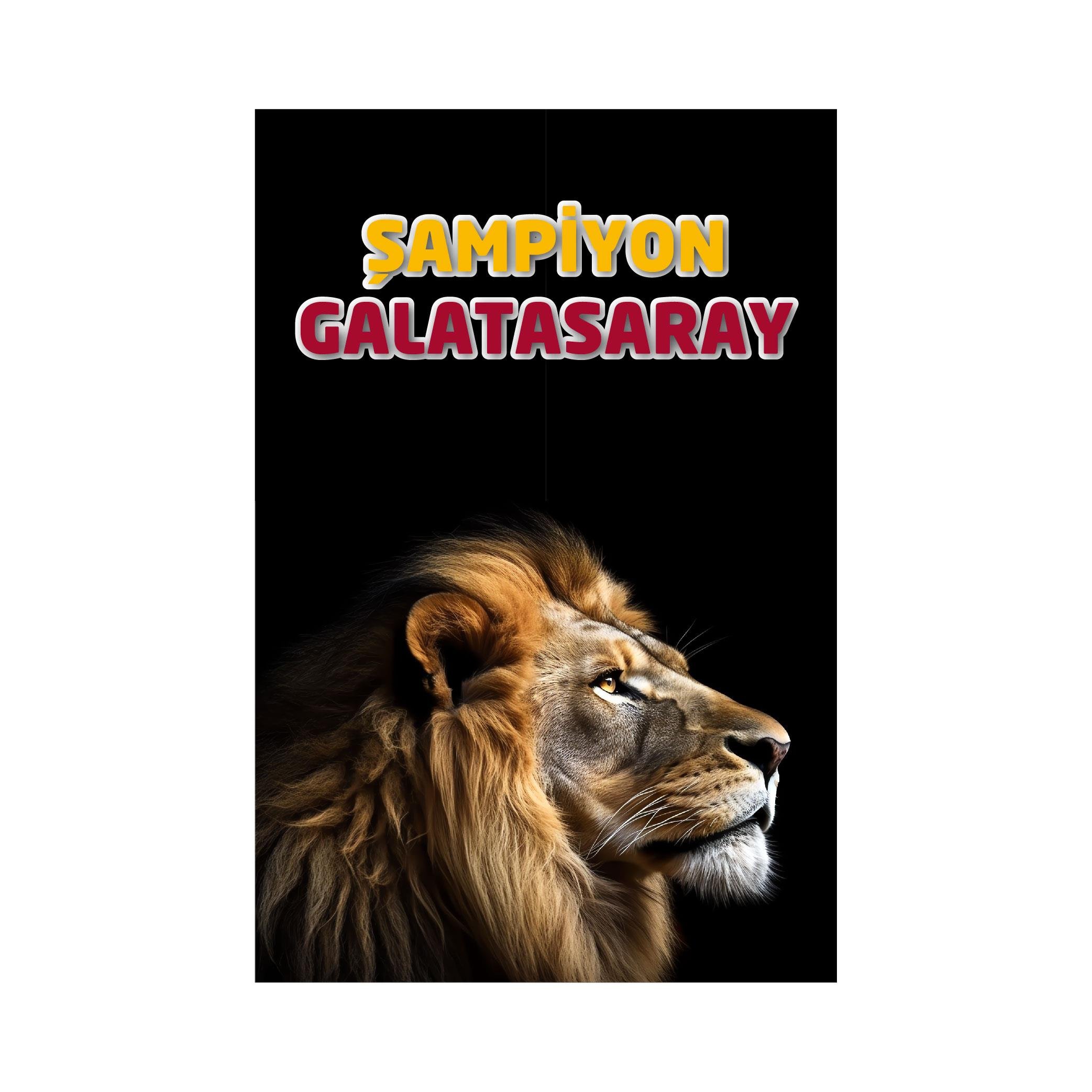 Galatasaray Bayrağı
