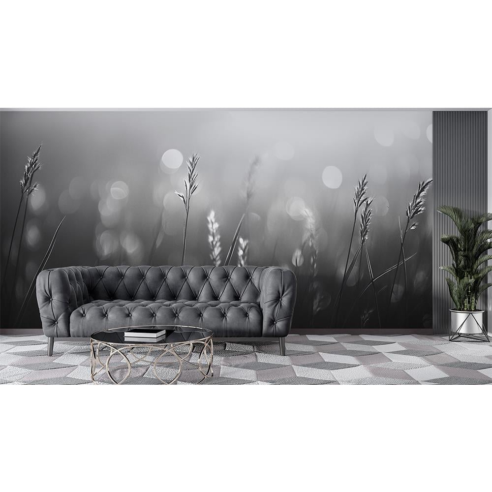 Gümüş Işık Duvar Kağıdı