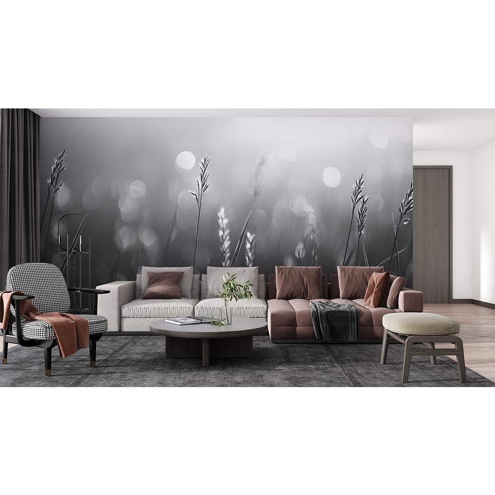 Gümüş Işık Duvar Kağıdı