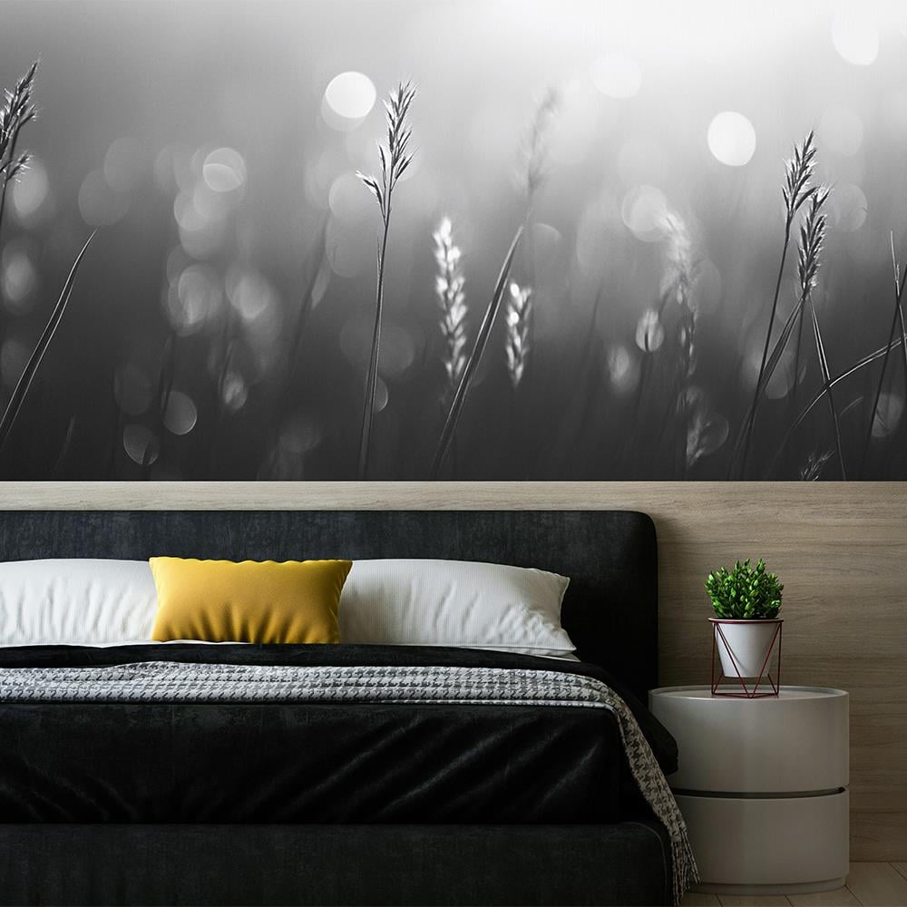 Gümüş Işık Duvar Kağıdı