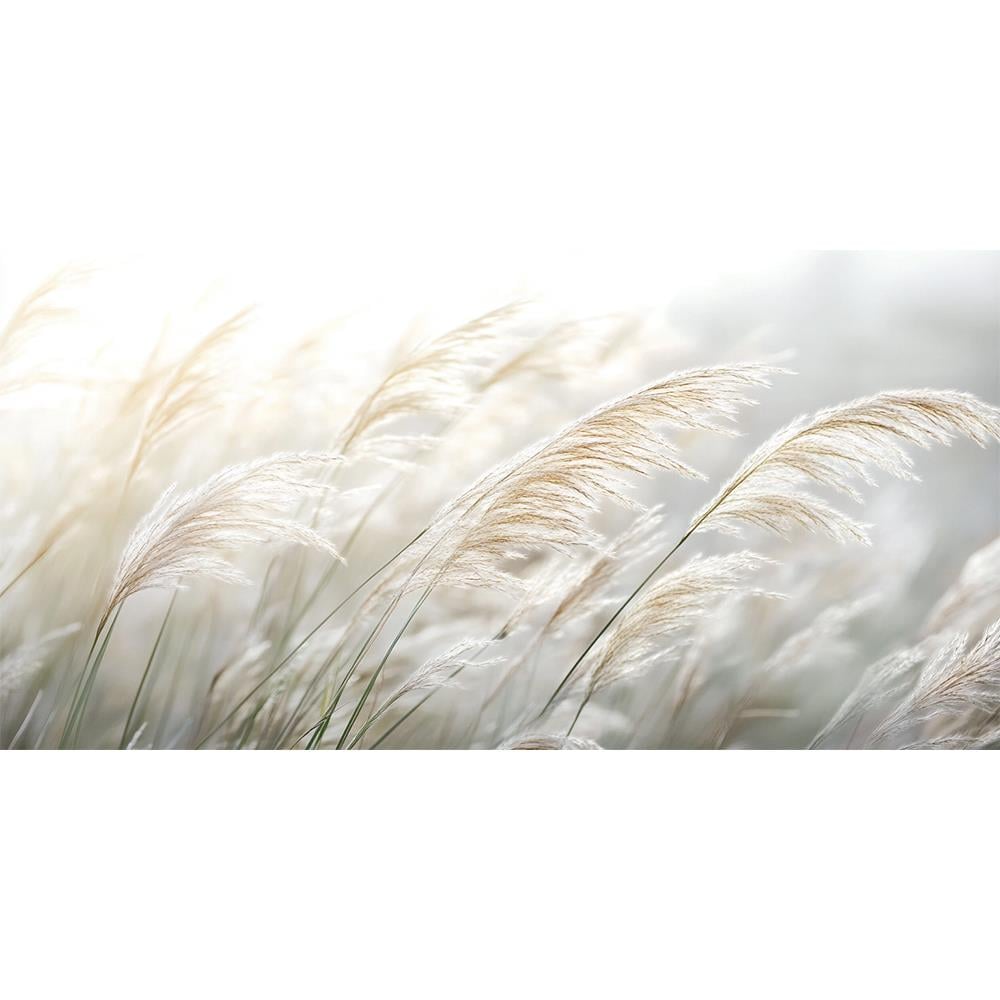 Sakin Rüzgarlar Duvar Kağıdı