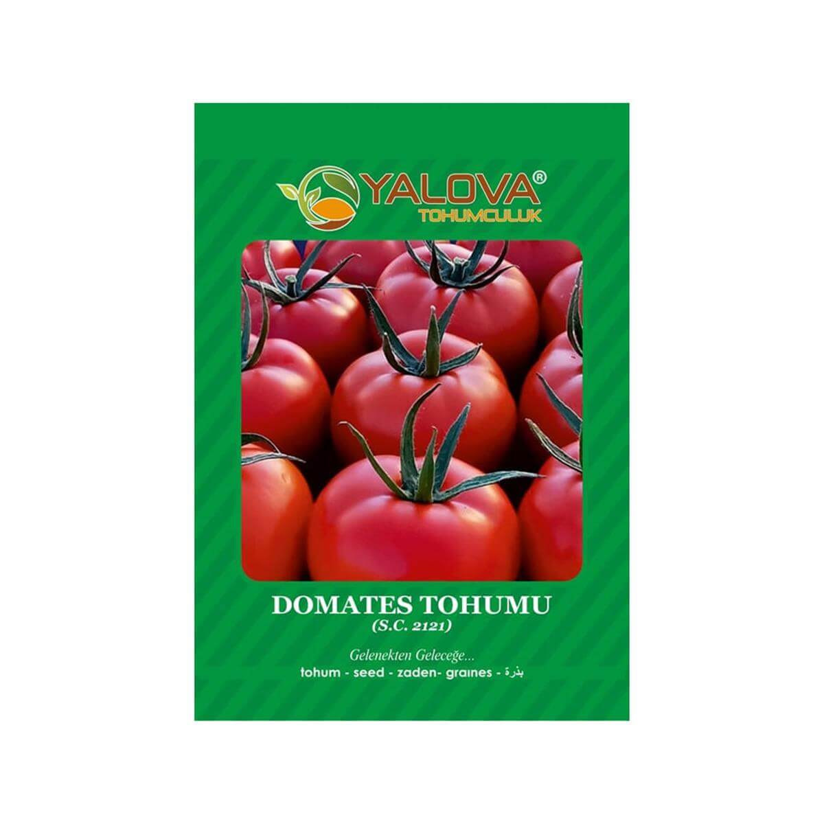 Yalova Domates Tohumu (BTK.01098)