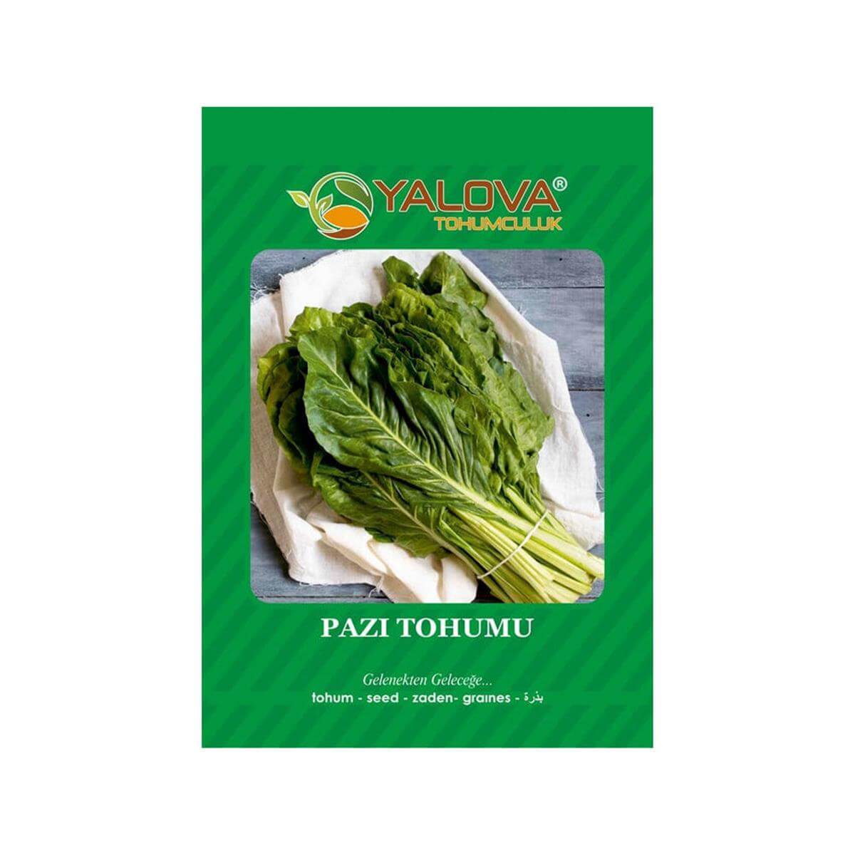 Yalova Pazı Tohumu (BTK.00947)