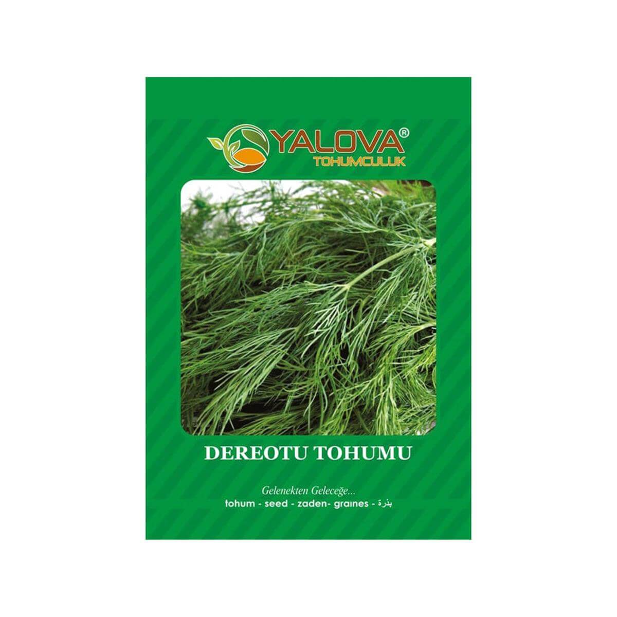 Yalova Dereotu Tohumu (BTK.01074)