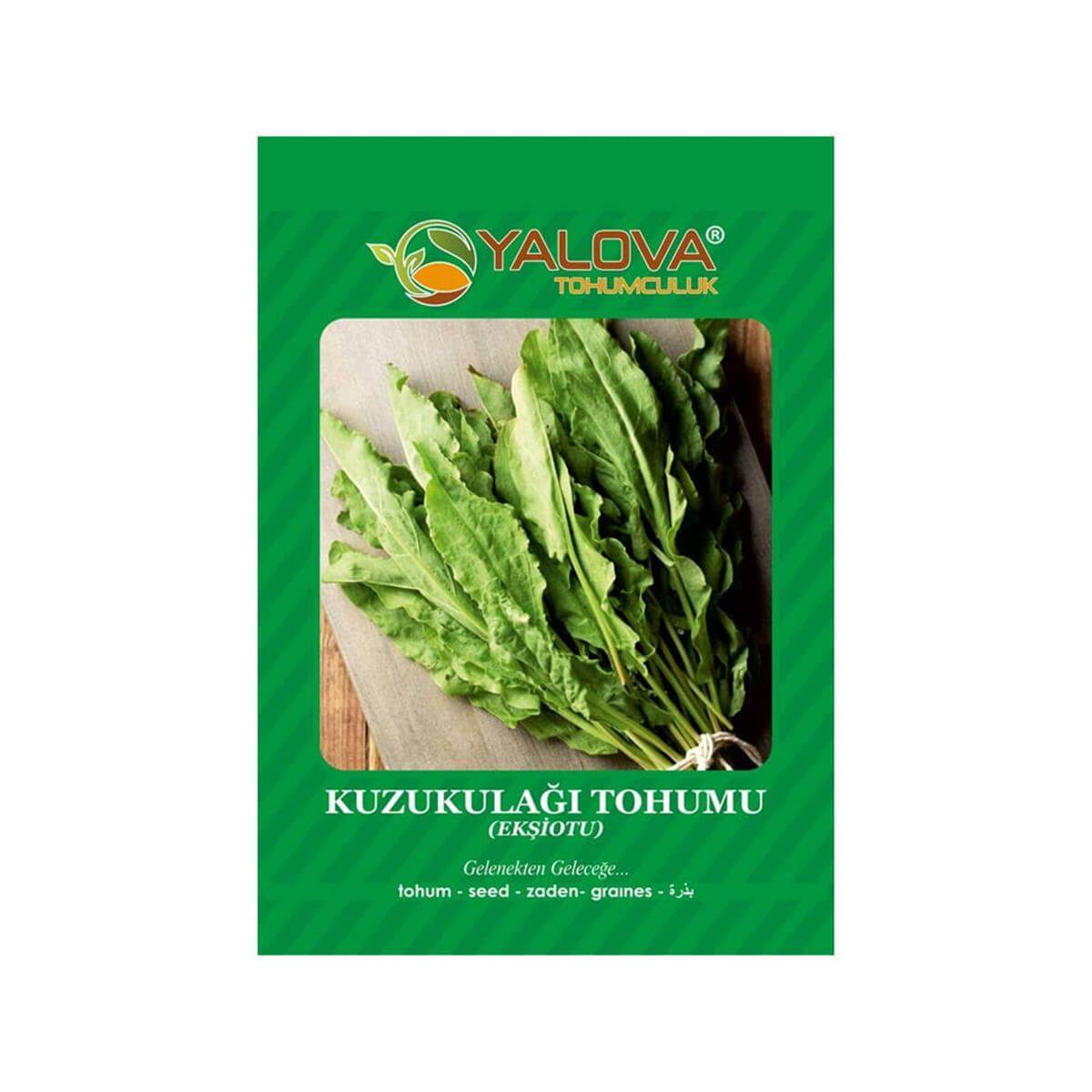 Yalova Kuzukulağı Tohumu (BTK.00916)