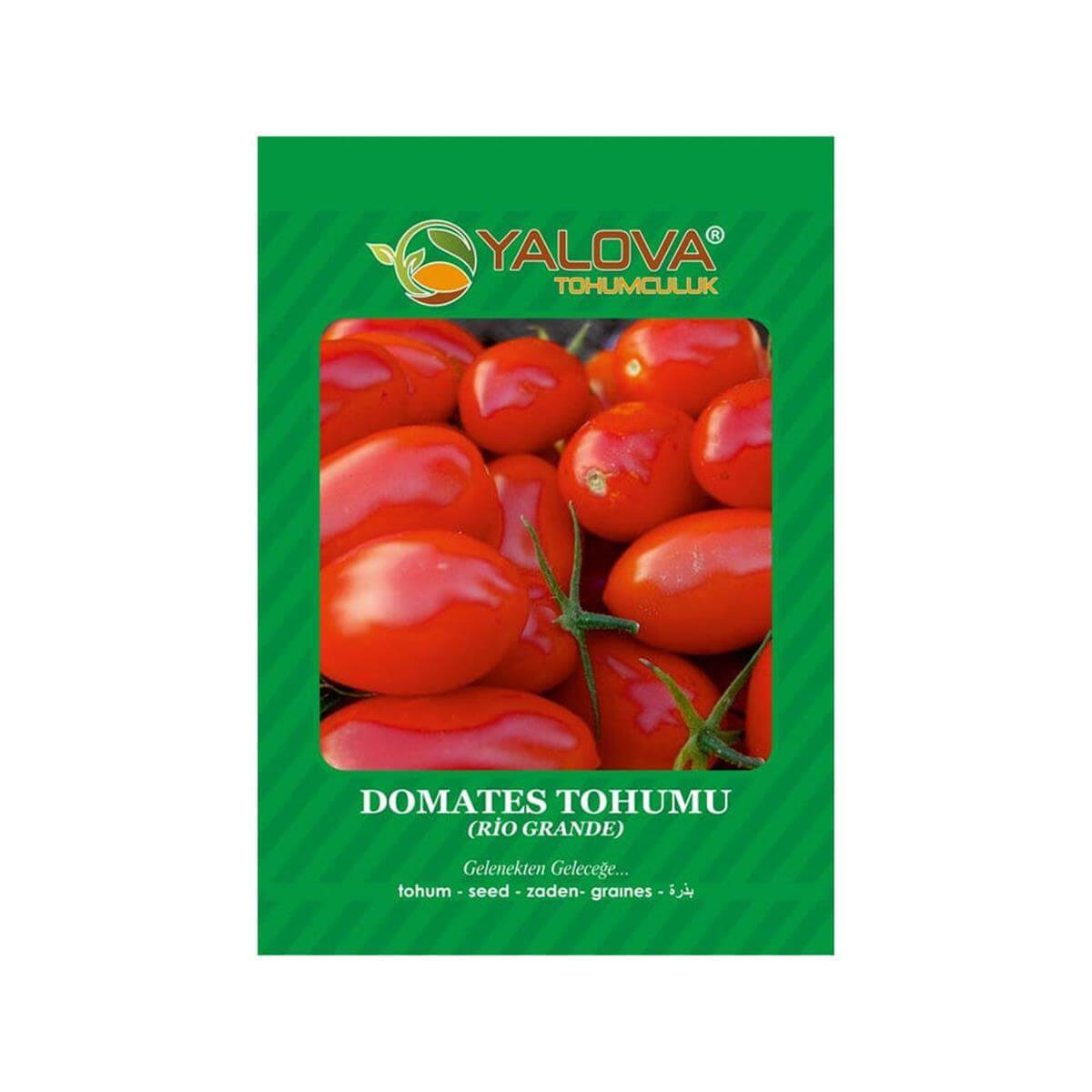 Yalova Rio Grande Domates Tohumu (BTK.01166)