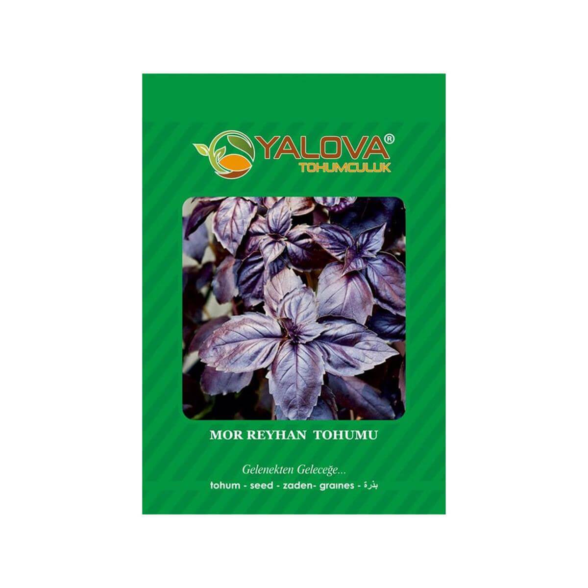 Yalova Mor Reyhan Çiçeği Tohumu (BTK.00077)