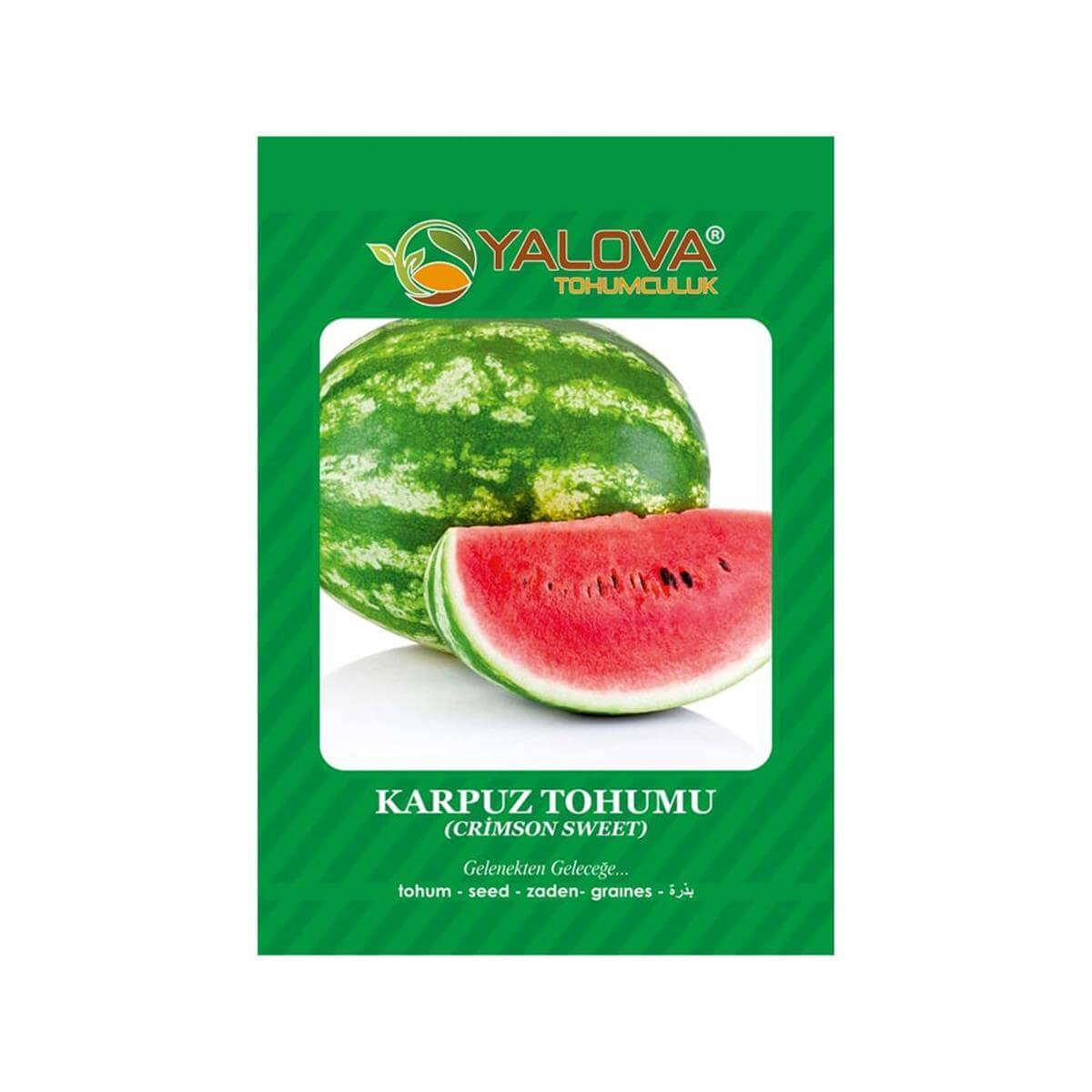Yalova Karpuz Tohumu (BTK.01005)