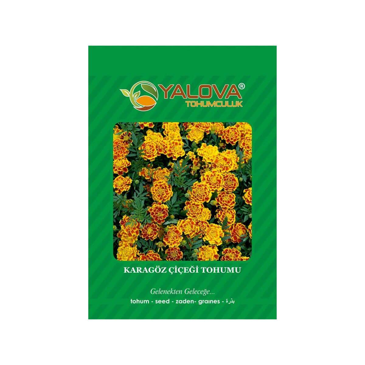 Yalova Karagöz Çiçeği Tohumu (BTK.00053)